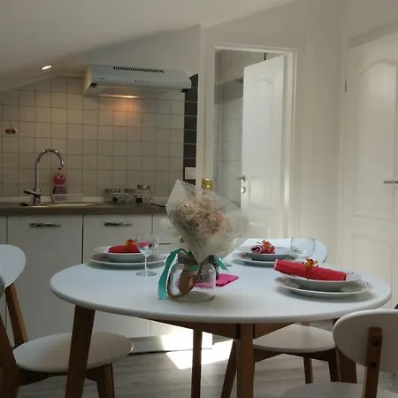 Angeline 公寓 罗维尼村